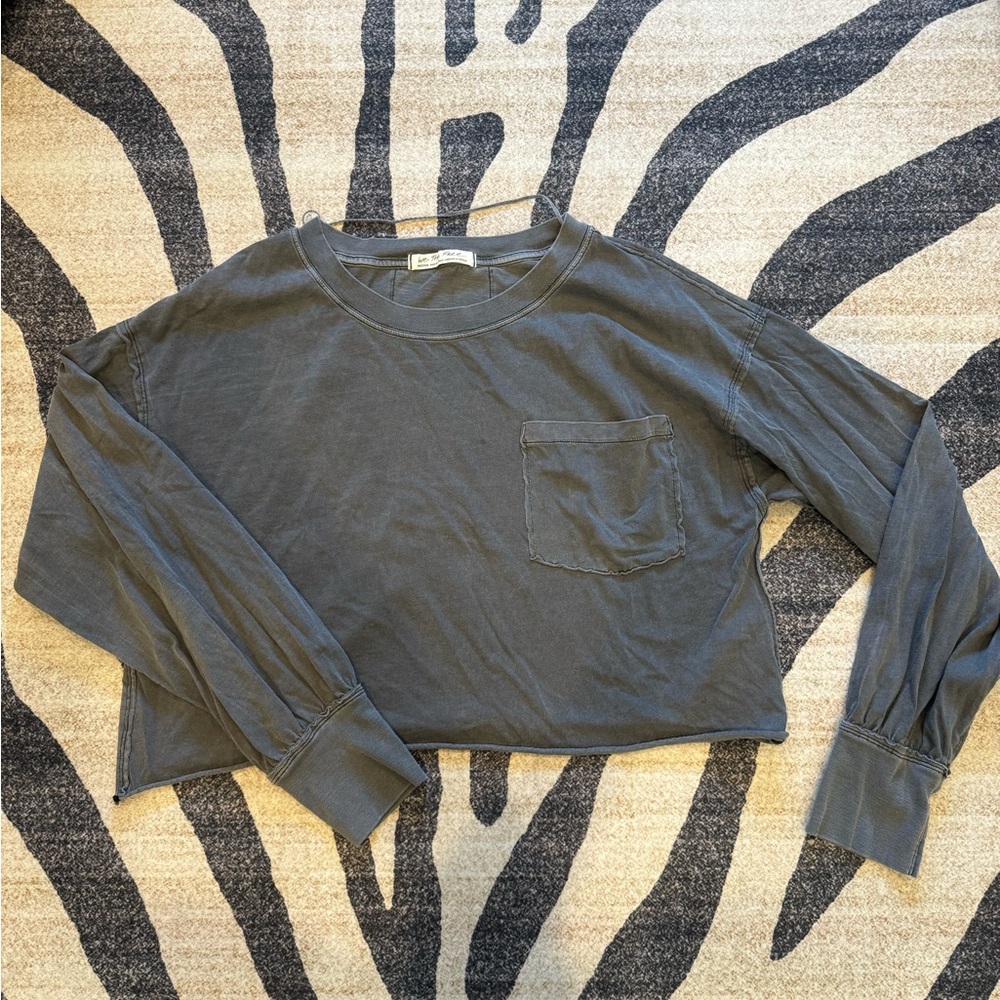 We The Free Gray Long Sleeve Crop Top